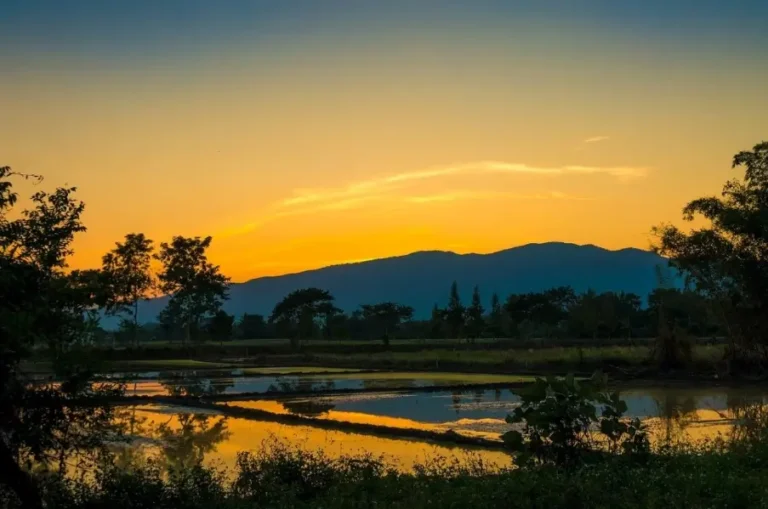 Chiang Mai Thailand